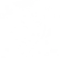 St. Philomena's College, Mysore